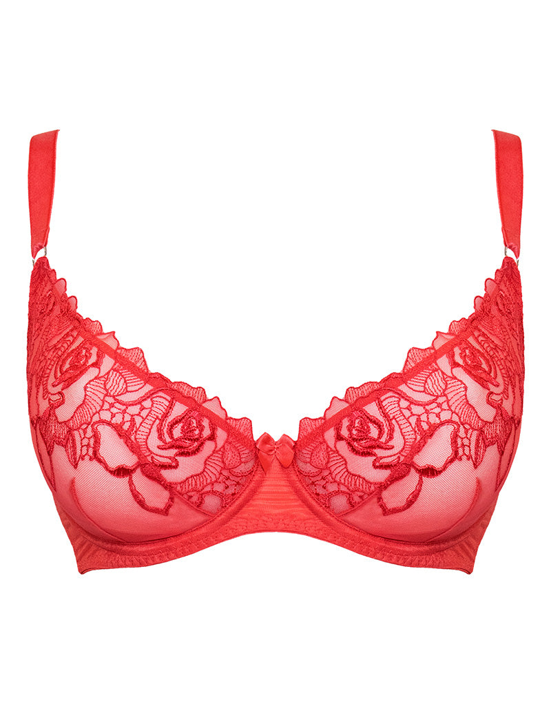 Embroidery And Lace Multiway Balcony Bra