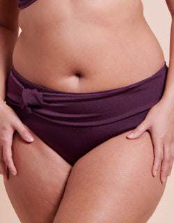 Curvy Kate Beach Bliss High Leg Bikini Brief Mulberry Purple