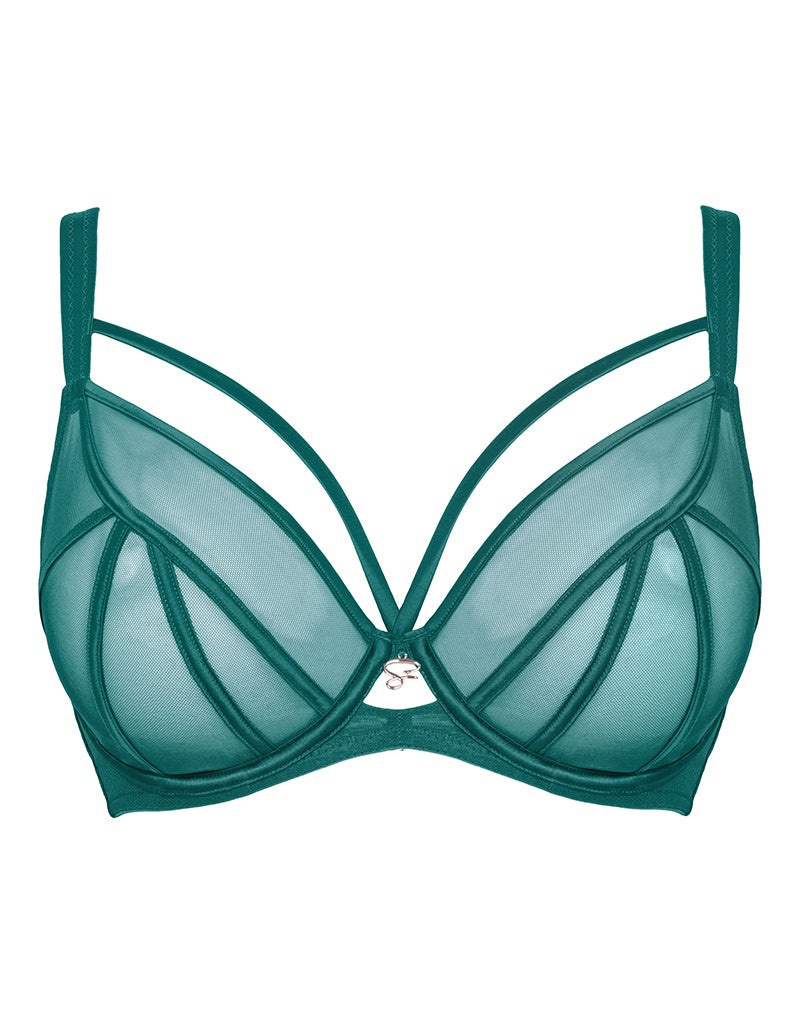 10 Sexy Bras You Want People To See - SHEfinds