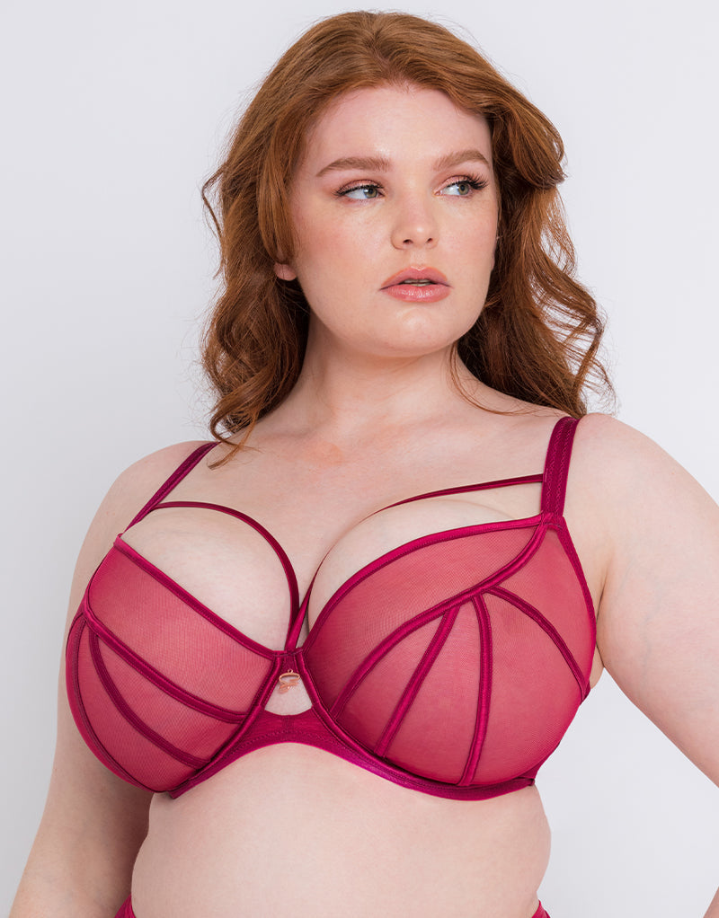 Rubiesandmore_lingerie - A statement bra for curvy ladies . Size