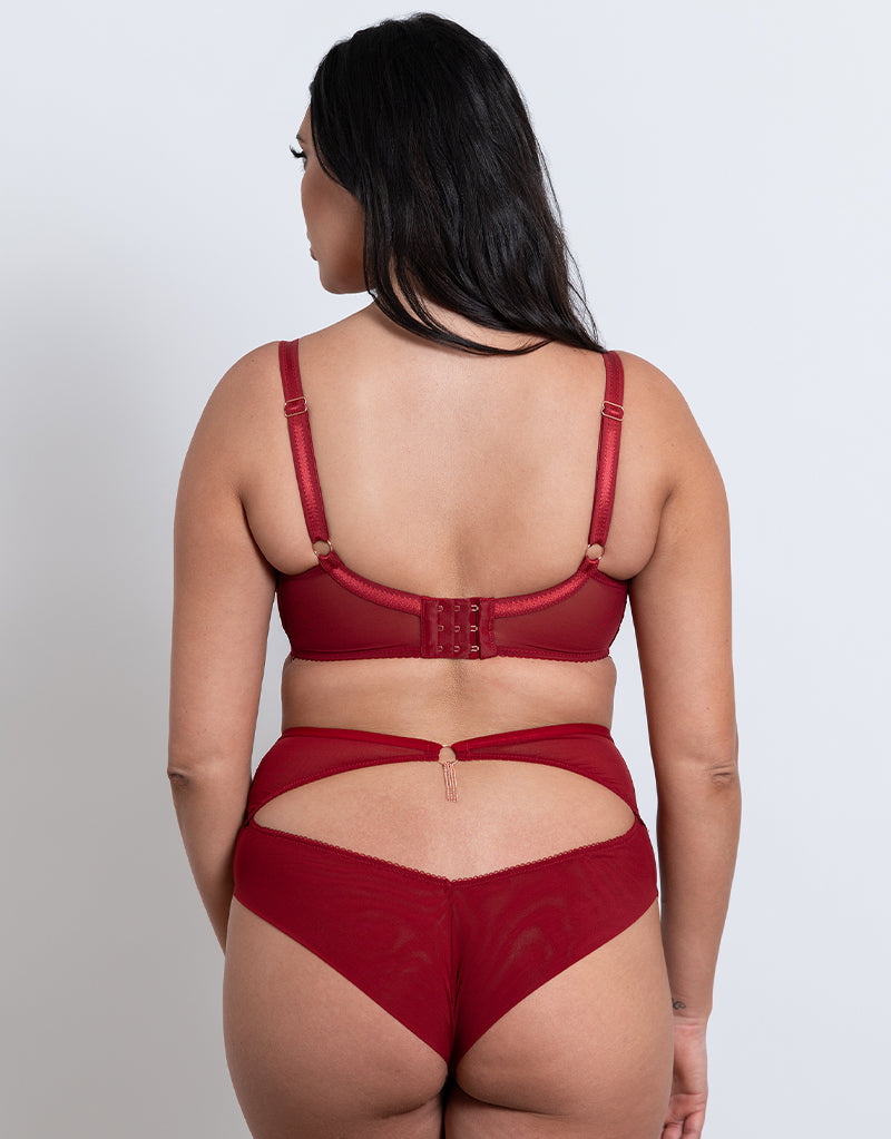 Scantilly Unchained High Waist Brief Deep Red – Curvy Kate CA